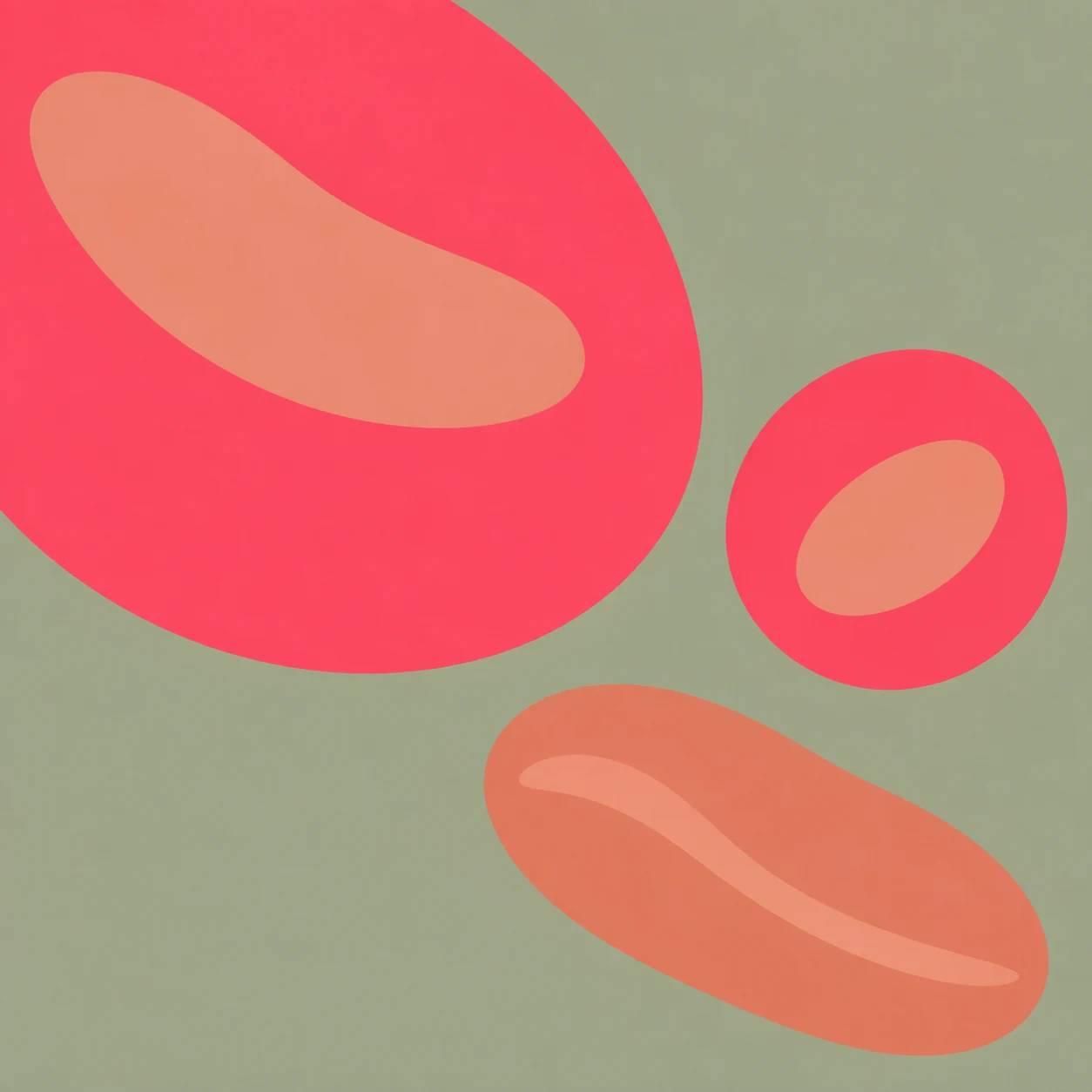 Tre stora blodkroppar i rosa och korall med ljusa mittpartier mot salviagrönt. Illustration för Järnstatus från Enkel Health.